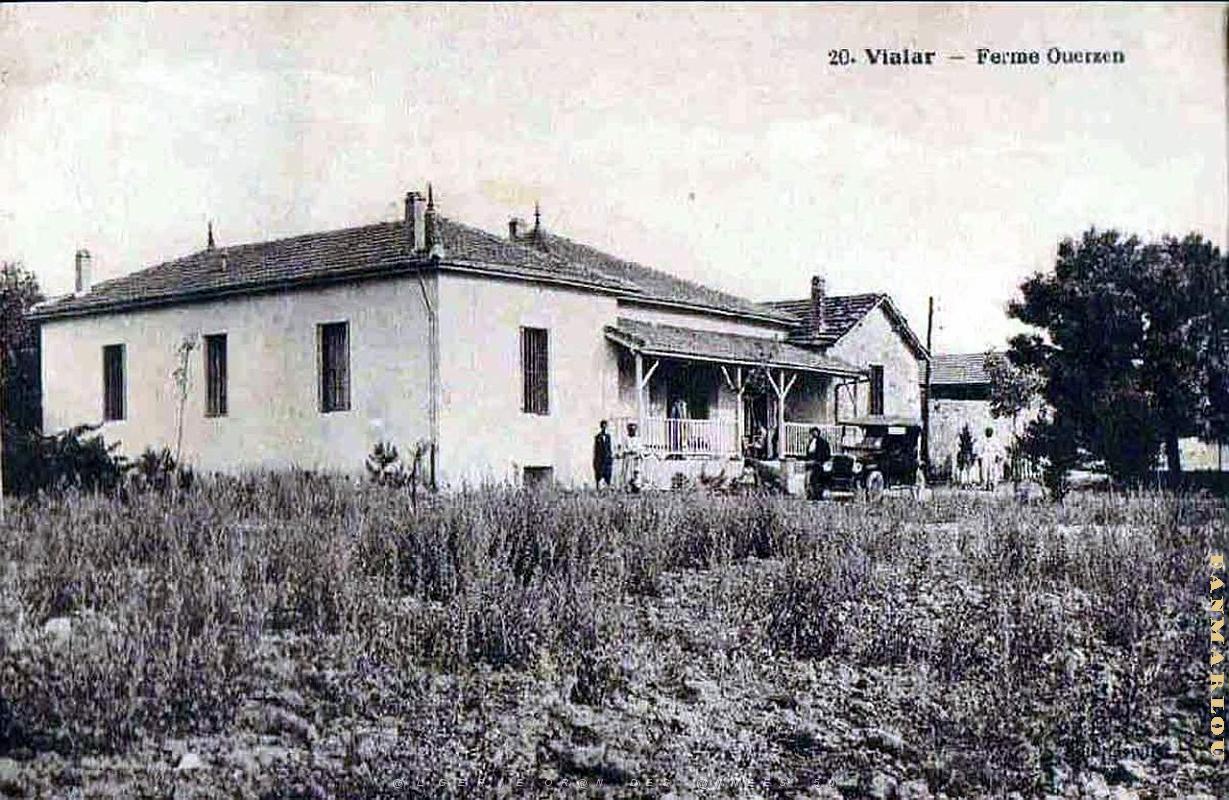 Vialar 605.jpg